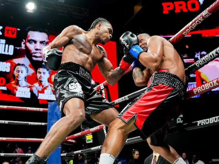 David Whitmire’s Comeback: A New Chapter After a Prolonged Hiatus